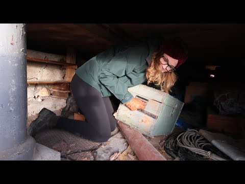 Hittar gömd källare - full med gamla saker