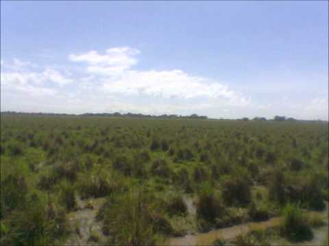 cajon de arauca apureño armando martinez