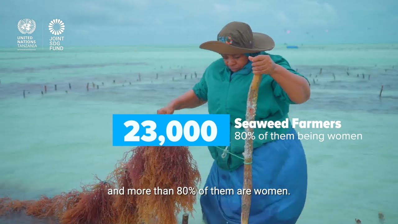 International Women’s Day | Women Seaweed Farmers of Zanzibar