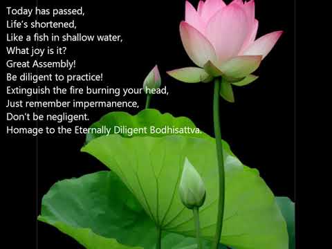 Ngày nay đã qua Sheet - Hiền Tịnh