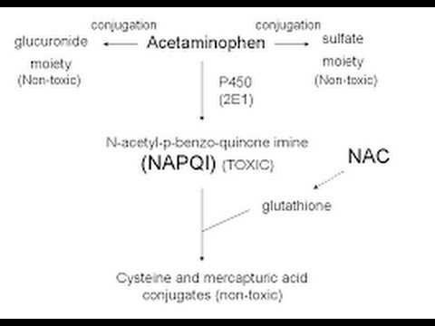 Acetaminophen Toxicity / Poisoning