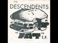 Descendents - Mr. Bass