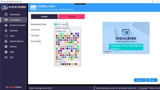 VidScribe AI YouTube Video