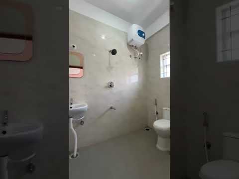 Video thumbnail for KOTS ARBRE