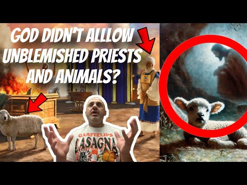 Why did God NOT ALLOW DISABLED Priests Or UNBLEMISHED Animals in Old Testament? | Sam Shamoun