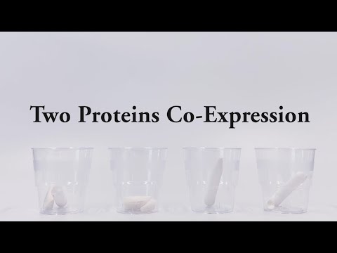 Two Proteins Co-Expression