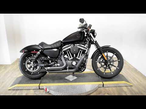 2020 Harley-Davidson Iron 883™ in Wauconda, Illinois - Video 1