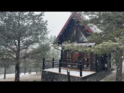 4K Video. Snowfall in the Chalet on 28th dec 2022. #zlatibor #serbia #placestovisit #nature #europe