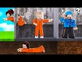 My Prison | Roblox | NAKATAKAS SILA SA PRISON KO!