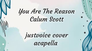 You Are The Reason - Calum Scott (cover) acapella