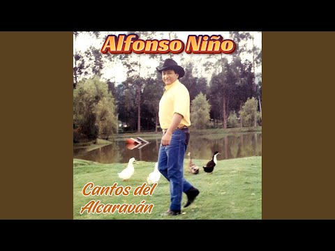 Cuñao Tóqueme un Joropo