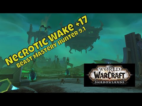 Beast Mastery Hunter POV 9.1 Necrotic Wake +17 the power of Forgelite Prime Mikanikos!
