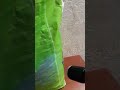 Семена подсолнечника ЕС Белла