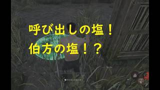 【DBD】呼び出しの塩の入手方と使い方（儀礼も達成できる）