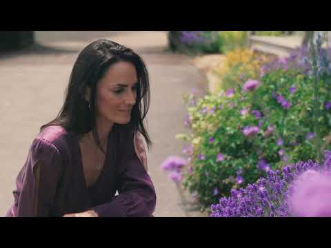 Woodsford Landscapes video.