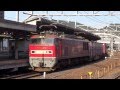 jr貨物　ef510 20牽引 4076レ再力行 @京都　2013 04 28