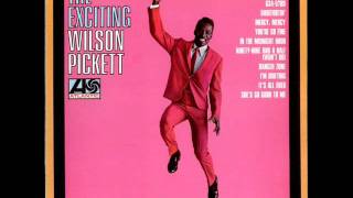 Wilson Pickett - Something You Got