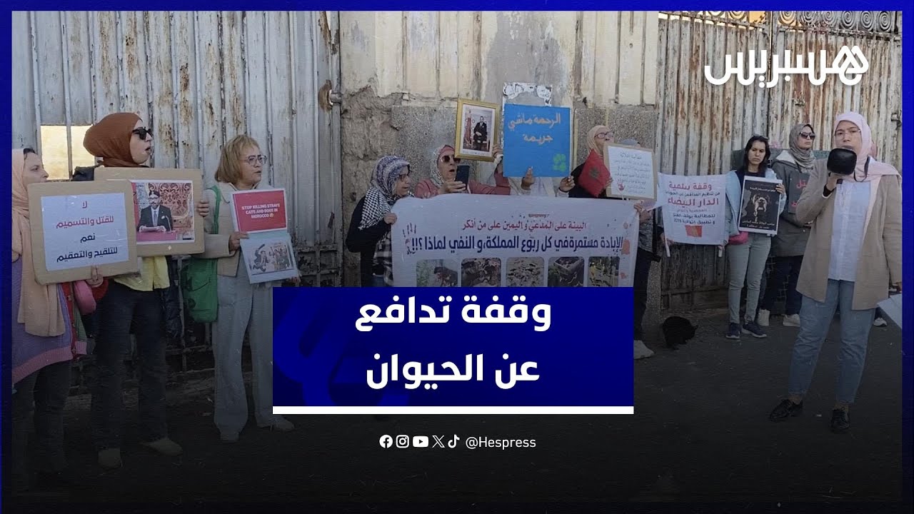 مدافعون عن الحيوان يحتجون مطالبين بوقف القتل وتفعيل اتفاقية الرفق بالحيوان thumbnail