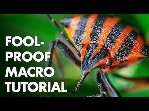 7 Foolproof Steps for a Perfect Macro Photo