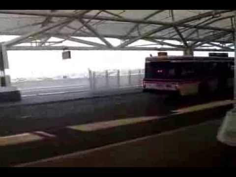 Minutes in the US (A Documentary Journey of IELSP Cohort X CSU)