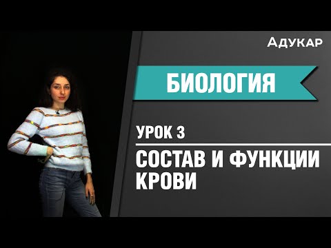 Состав и функции крови | Биология ЦТ, ЕГЭ