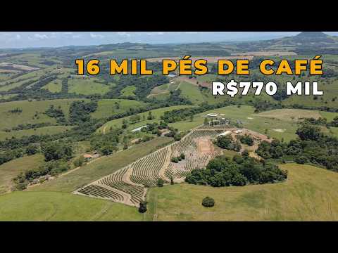 Chácara Produtiva em Japira – Café Formado, Água em Abundância e Estrutura Completa