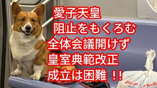 愛子天皇阻止をもくろむ 全体会議開けず 皇室典範改正 成立は困難 ! !