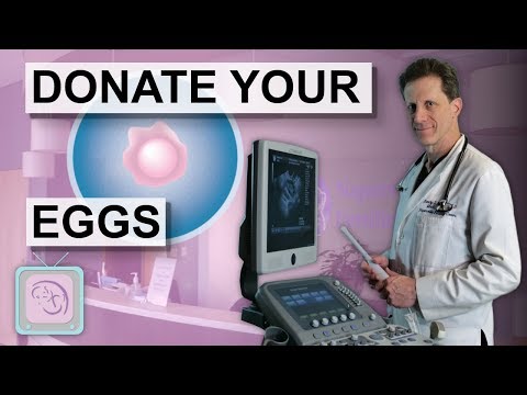 Donor IUI Your complete guide Everything you need to know