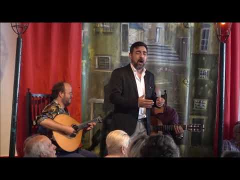 Pedro Galveias - "Roseira botão de gente" (Ary dos Santos / Paulo de Carvalho)