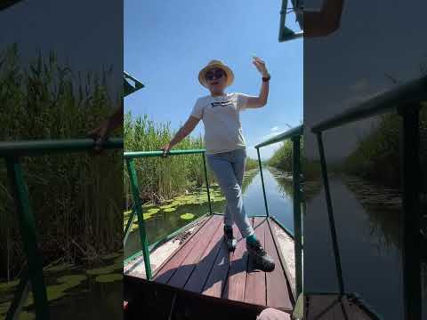 Joy on the Water at Hutovo Blato | Bosnia Spiritual Tour