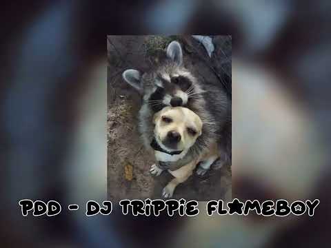 PDD - DJ TRIPPIE FLAMEBOY
