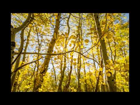 Kigidi Karma - Žodžio Galia