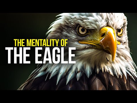 THE EAGLE MENTALITY - Motivational Speech For All Those Who Fly Alone