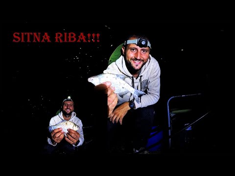 "Sitna Riba, Velika Akcija! Noćni ribolov na Savi-Feeder Ribolov Deverika i Babuška"!