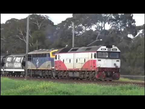 SSR Grain C504 C507 4911 4532 crosses Qube push pull grain X31 T373 B80 G532 at manor