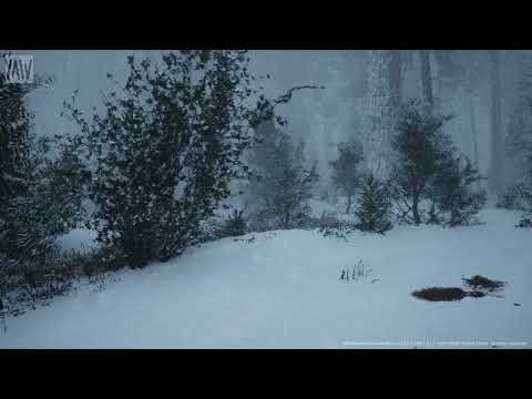 MAWI Conifer Trees Forest Biome 2