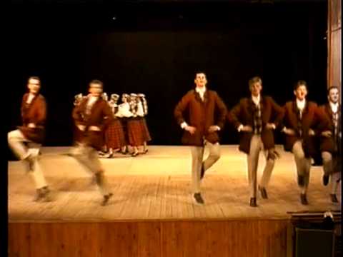 Smiltenes lepnums - TDA "Ieviņa". 1995.