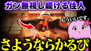 あつれき どうぶつの森【 あつ森 #5 】【 SqLA 】