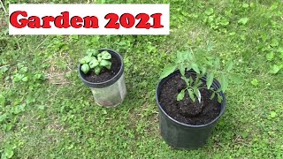 Garden 2021 April 22