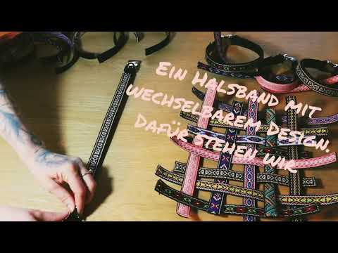WELTNEUHEIT! -Hundehalsband mit WECHSELBAREN Designs
