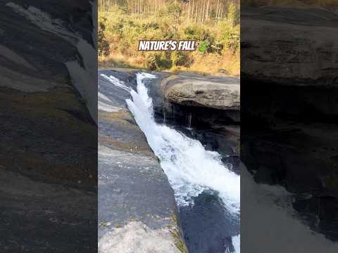 Nature’s fall 🍃🍀