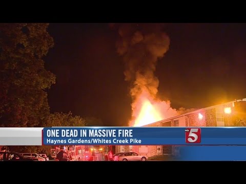 Afternoon Headlines: Tuesday, August 4, 2015