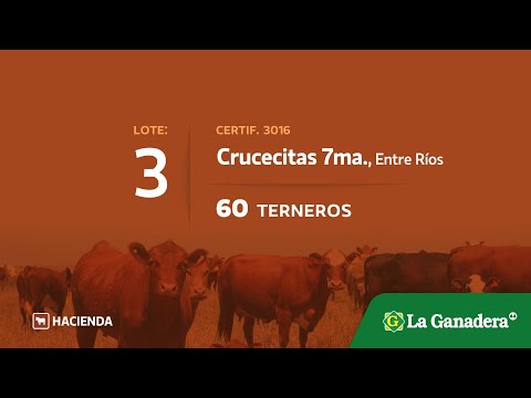 Lote Terneros en Crucecitas 7ma (E.Rios)