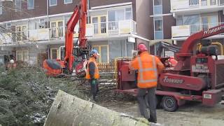 preview picture of video 'Rooien bomen, zagen stammen, versnipperen takken - Zoetermeer, Buytenwegh 10 februari 2010'