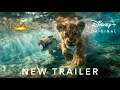 Mufasa The Lion King New Trailer 2024 Disney