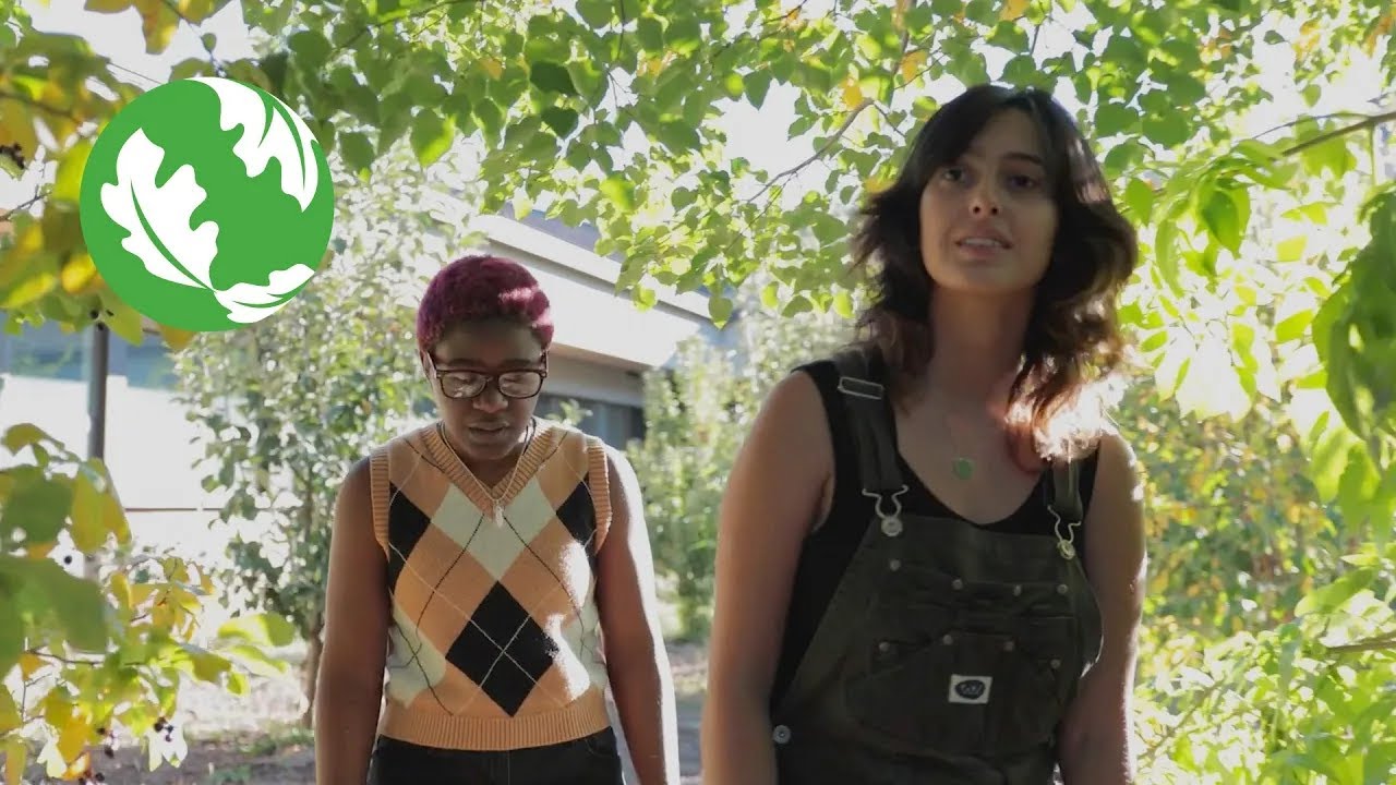 Climate Solutions: Take Action