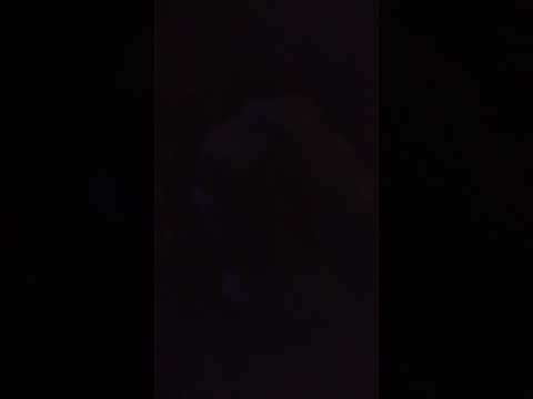 31/08/2018 REGGAE BUS FEST 2018 AGOBUN SOUND SYSTEM