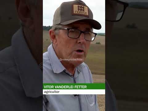 TRIGO EM 2026: VALE A PENA O RISCO COM A VOLTA DO EL NIÑO? | REPORTAGEM COMPLETA NO LINK