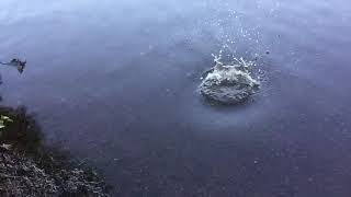 Slow Motion: throwing a Rock In Water, big ripples