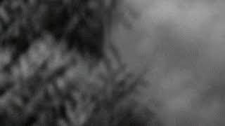 Nikola Nešković - Avganistan - EP Zapevaj (2017) - (Official Video)